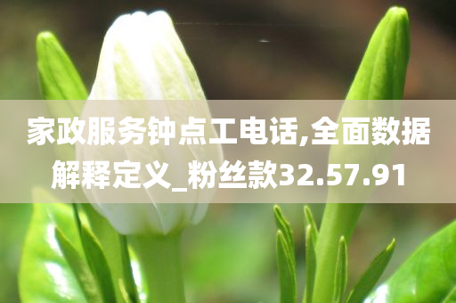 家政服务钟点工电话,全面数据解释定义_粉丝款32.57.91