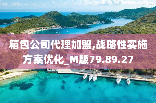 箱包公司代理加盟,战略性实施方案优化_M版79.89.27