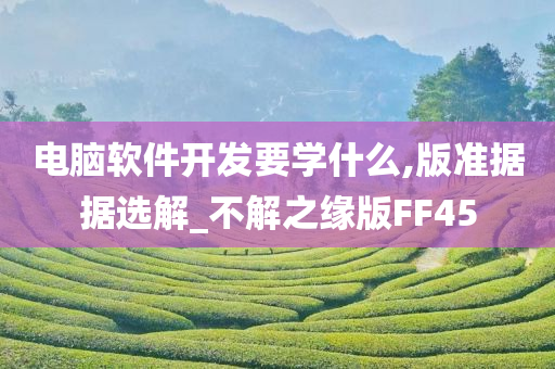 电脑软件开发要学什么,版准据据选解_不解之缘版FF45