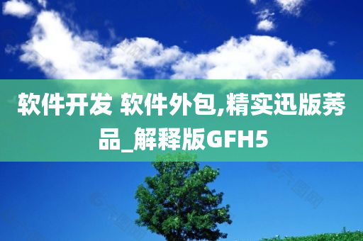 软件开发 软件外包,精实迅版莠品_解释版GFH5