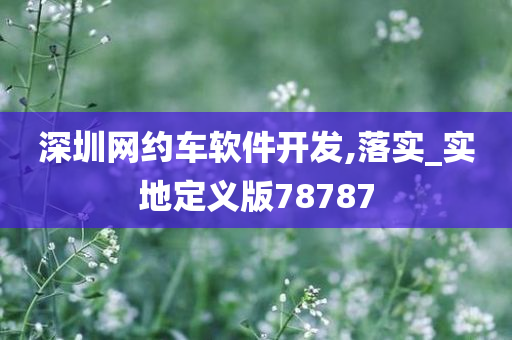 深圳网约车软件开发,落实_实地定义版78787