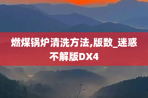 燃煤锅炉清洗方法,版数_迷惑不解版DX4