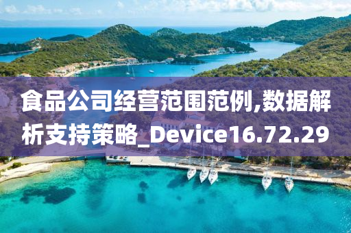 食品公司经营范围范例,数据解析支持策略_Device16.72.29