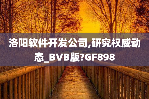 洛阳软件开发公司,研究权威动态_BVB版?GF898