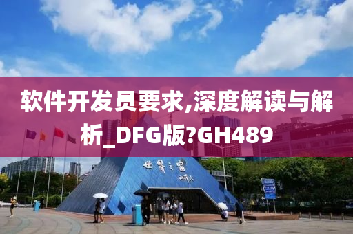 软件开发员要求,深度解读与解析_DFG版?GH489