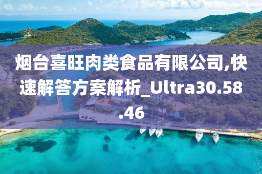 烟台喜旺肉类食品有限公司,快速解答方案解析_Ultra30.58.46