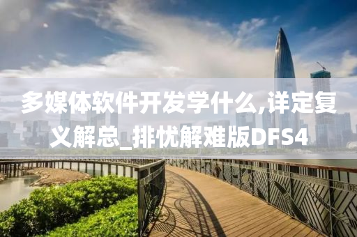 多媒体软件开发学什么,详定复义解总_排忧解难版DFS4