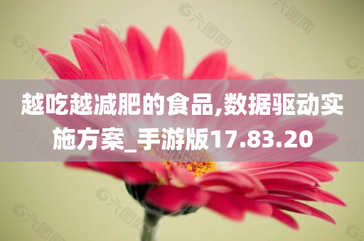 越吃越减肥的食品,数据驱动实施方案_手游版17.83.20