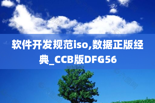 软件开发规范iso,数据正版经典_CCB版DFG56