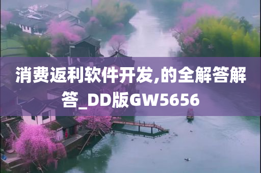 消费返利软件开发,的全解答解答_DD版GW5656