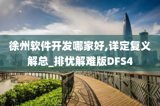 徐州软件开发哪家好,详定复义解总_排忧解难版DFS4