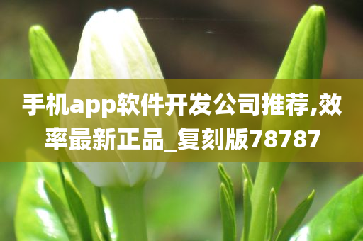 手机app软件开发公司推荐,效率最新正品_复刻版78787