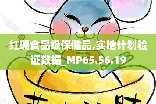 红瑞食品级保健品,实地计划验证数据_MP65.56.19