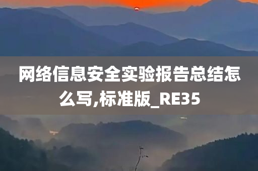 网络信息安全实验报告总结怎么写,标准版_RE35