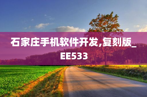 石家庄手机软件开发,复刻版_EE533