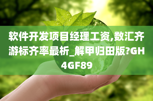 软件开发项目经理工资,数汇齐游标齐率最析_解甲归田版?GH4GF89