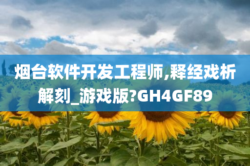 烟台软件开发工程师,释经戏析解刻_游戏版?GH4GF89