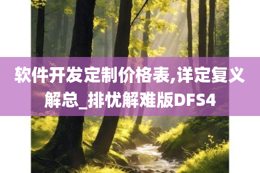 软件开发定制价格表,详定复义解总_排忧解难版DFS4