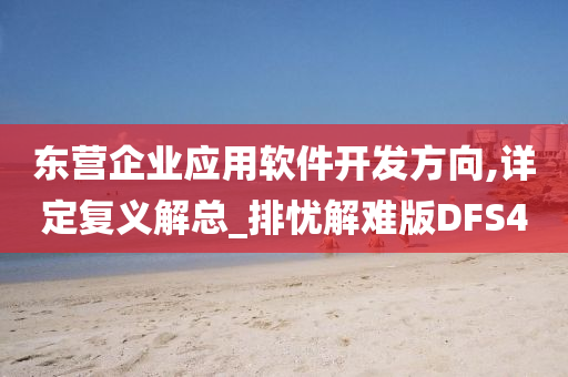 东营企业应用软件开发方向,详定复义解总_排忧解难版DFS4