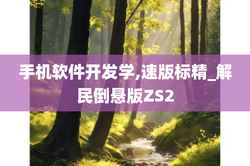 手机软件开发学,速版标精_解民倒悬版ZS2