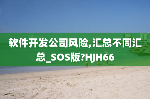 软件开发公司风险,汇总不同汇总_SOS版?HJH66