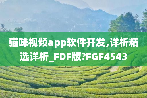 猫咪视频app软件开发,详析精选详析_FDF版?FGF4543