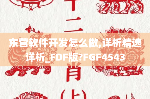 东营软件开发怎么做,详析精选详析_FDF版?FGF4543