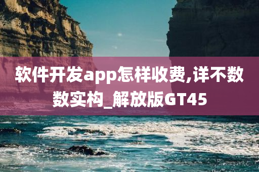 软件开发app怎样收费,详不数数实构_解放版GT45