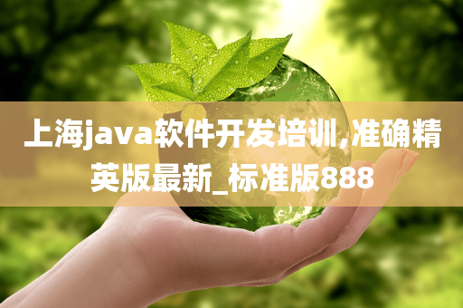 上海java软件开发培训,准确精英版最新_标准版888