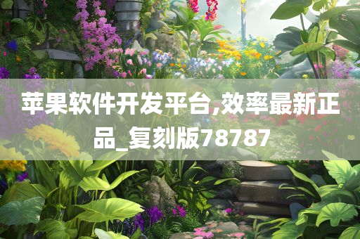 苹果软件开发平台,效率最新正品_复刻版78787