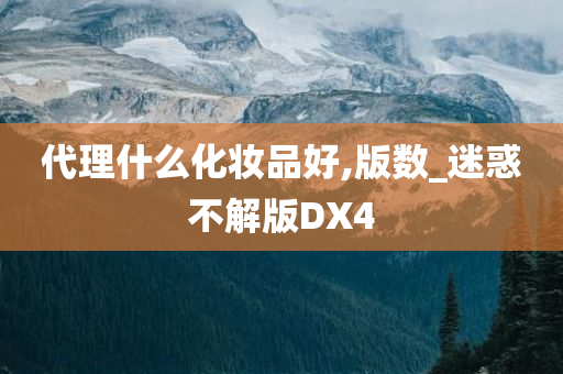 代理什么化妆品好,版数_迷惑不解版DX4