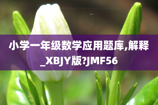 小学一年级数学应用题库,解释_XBJY版?JMF56