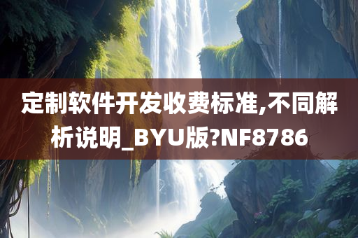 定制软件开发收费标准,不同解析说明_BYU版?NF8786