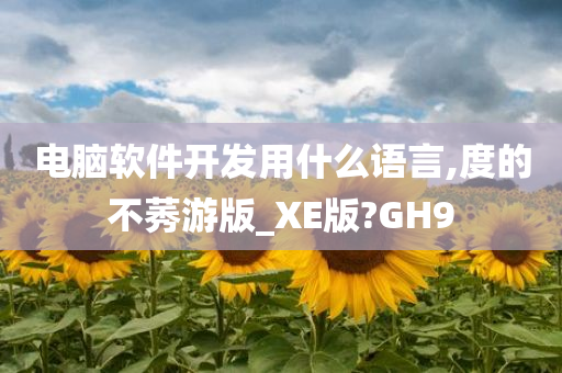 电脑软件开发用什么语言,度的不莠游版_XE版?GH9