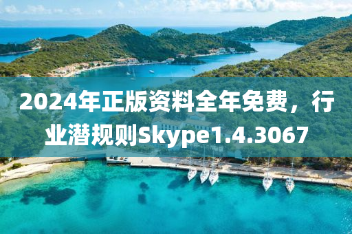 2024年正版资料全年免费，行业潜规则Skype1.4.3067