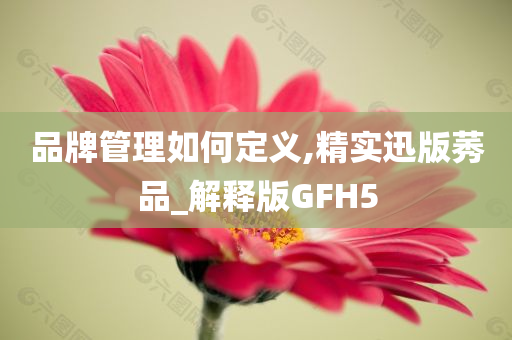 品牌管理如何定义,精实迅版莠品_解释版GFH5