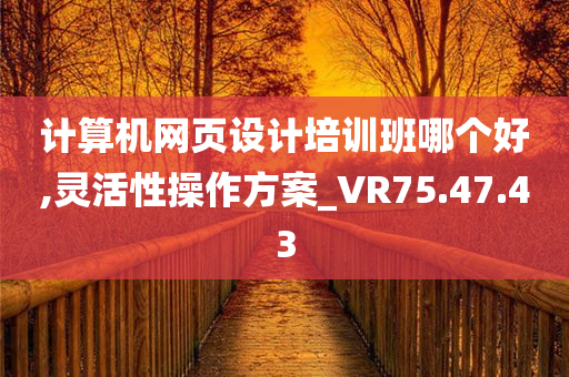 计算机网页设计培训班哪个好,灵活性操作方案_VR75.47.43