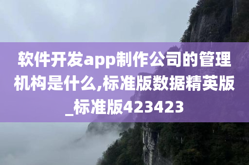 软件开发app制作公司的管理机构是什么,标准版数据精英版_标准版423423