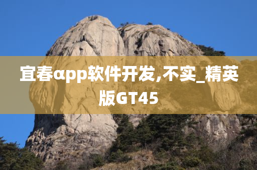 宜春αpp软件开发,不实_精英版GT45