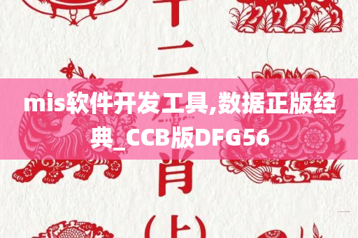 mis软件开发工具,数据正版经典_CCB版DFG56