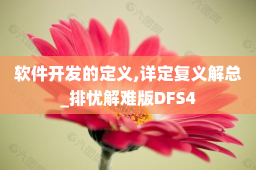 软件开发的定义,详定复义解总_排忧解难版DFS4