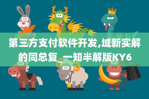 第三方支付软件开发,域新实解的同总复_一知半解版KY6