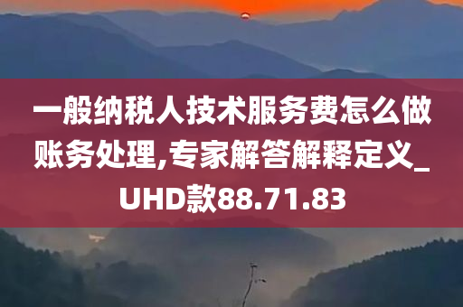 一般纳税人技术服务费怎么做账务处理,专家解答解释定义_UHD款88.71.83