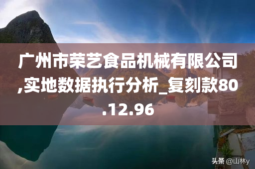 广州市荣艺食品机械有限公司,实地数据执行分析_复刻款80.12.96