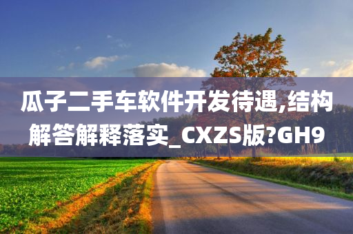 瓜子二手车软件开发待遇,结构解答解释落实_CXZS版?GH9