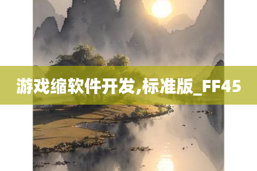 游戏缩软件开发,标准版_FF45