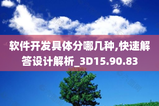 软件开发具体分哪几种,快速解答设计解析_3D15.90.83