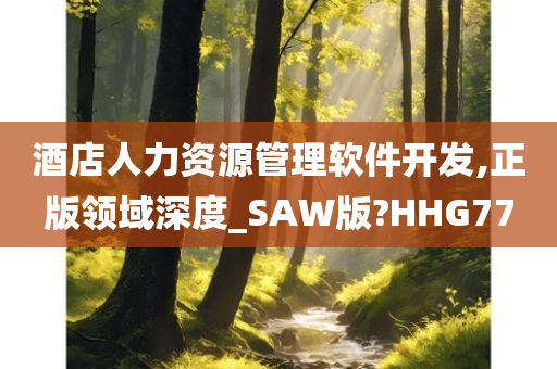 酒店人力资源管理软件开发,正版领域深度_SAW版?HHG77