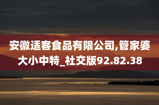 安徽适客食品有限公司,管家婆大小中特_社交版92.82.38