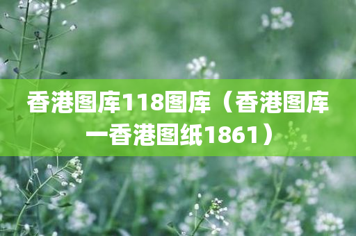 香港图库118图库（香港图库一香港图纸1861）